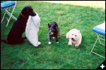[alfie7]