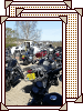 [Harley Carboot]