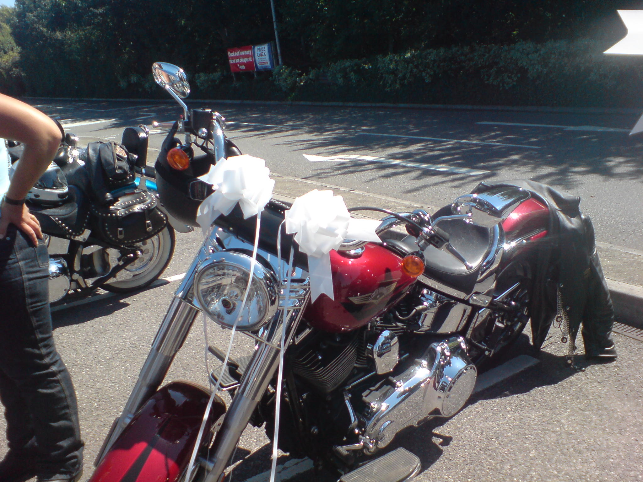 [DSC00412.JPG]