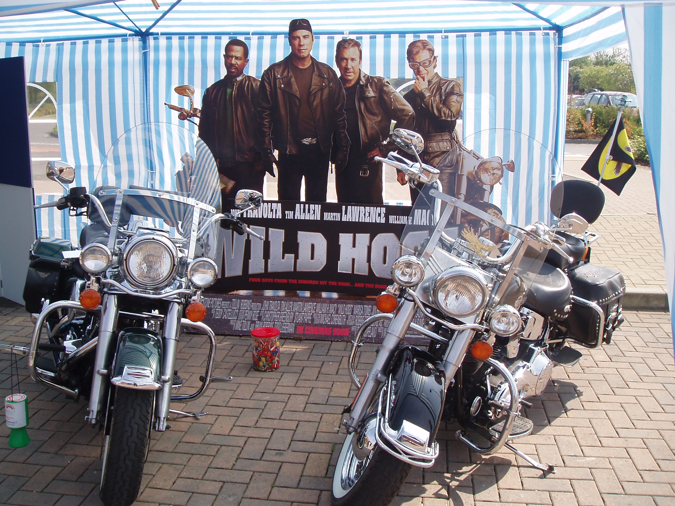 [Wild Hog Day 1.JPG]