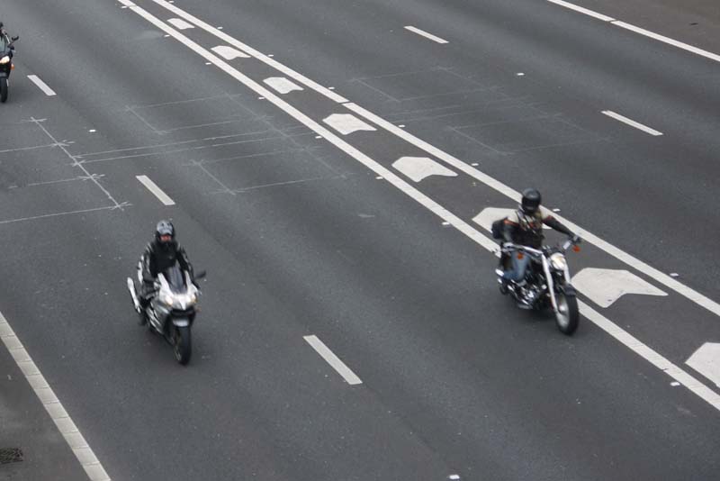 [The Eagle Riders_Goose.JPG]