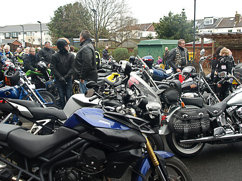 [maryrose eggrun_17.JPG]