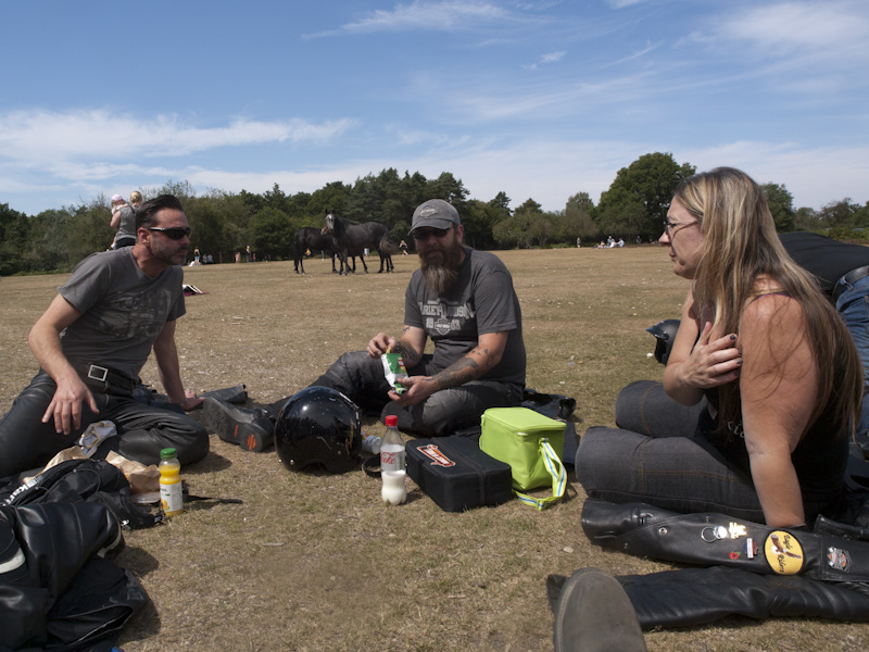 [New Forest Picnic 00.jpg]