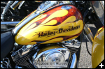 [HOG Ride - Brightona (21)]