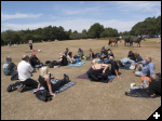 [New Forest Picnic 01]