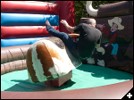 [Slindon School Fete 06]